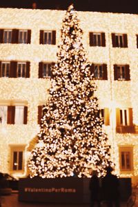 Low angle view of christmas tree