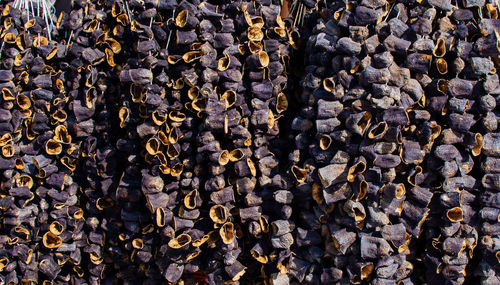 Full frame shot of wood in forest