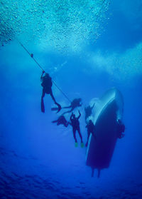 Scuba divers undersea