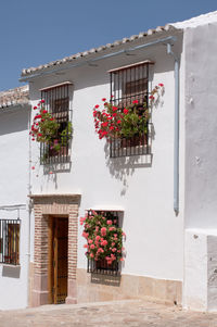 Typical andalucian house