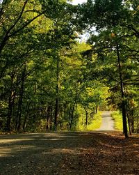 Road amidst trees on landscape