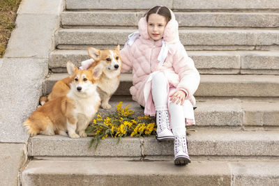 Toddler girl with corgi dogs in the park.  spring, international women's day march 8