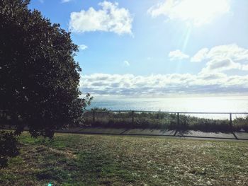 Scenic view of field against sky