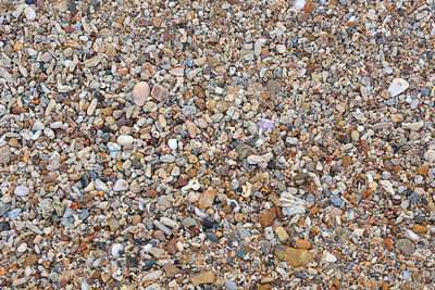 Full frame shot of pebbles on beach