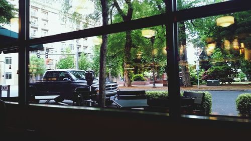 Reflection of trees on glass window