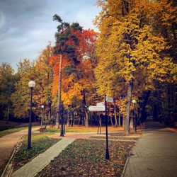 Street amidst trees in park during autumn