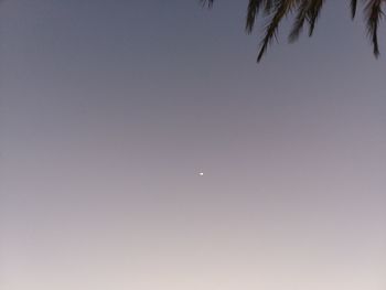 Low angle view of moon against clear sky at night