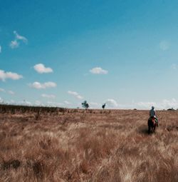 Rear view of man riding on horse in field against sky