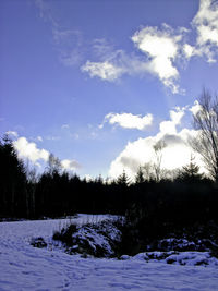 Trees against sky during winter