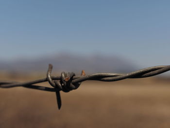 Close-up of barbed wire against sky