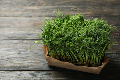 Close-up of green leaves on table