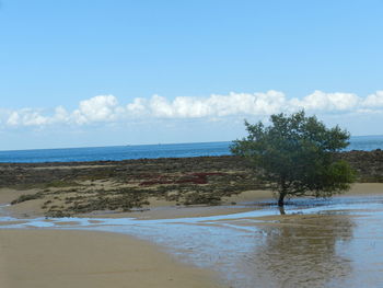 Scenic view of sea against sky