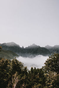 Scenic view of trees and mountains against sky