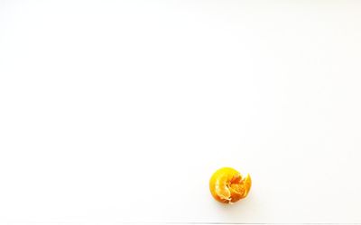 Close-up of yellow flower over white background