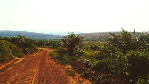 Country road along landscape