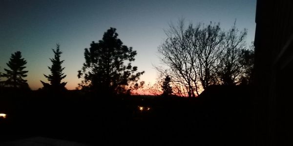 Silhouette trees on field against clear sky at sunset