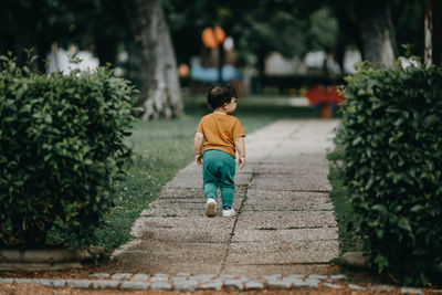 Rear view of boy walking on footpath