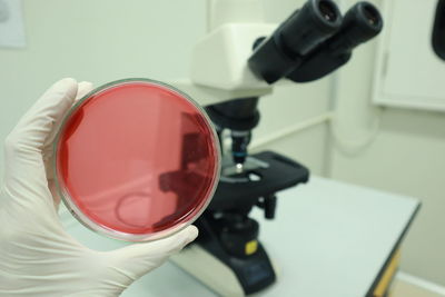 Close-up of hand holding red container at laboratory