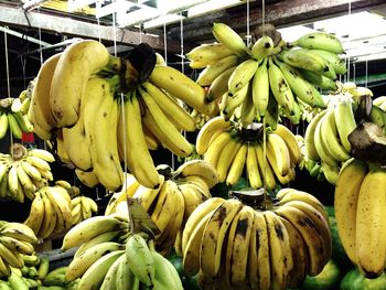 Panoramic view of bananas