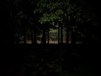 Silhouette trees in forest against sky at night