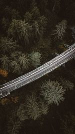 High angle view of bridge amidst trees in forest