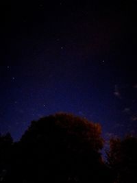 Low angle view of silhouette trees against sky at night