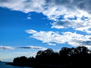 Low angle view of silhouette trees against blue sky