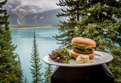 Close-up of food in plate against trees and lake