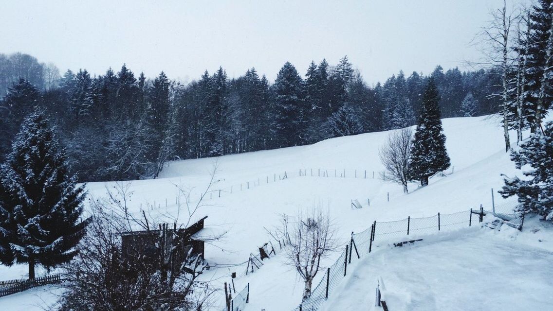 snow, winter, cold temperature, season, tree, weather, covering, tranquility, tranquil scene, frozen, clear sky, nature, white color, beauty in nature, scenics, landscape, covered, non-urban scene, bare tree, snow covered