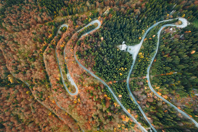 Aerial view of winding road in mountain forest