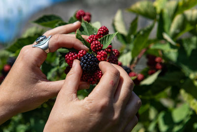 Midsection of man holding fruits