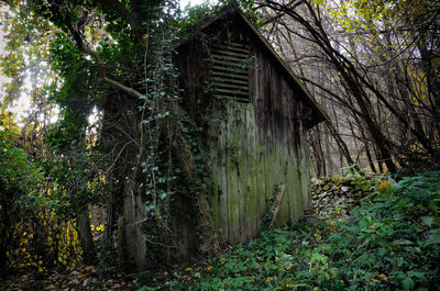 Abandoned built structure in forest