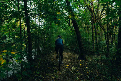 Rear view of man walking in forest