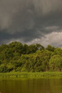 Scenic view of lake in forest against sky