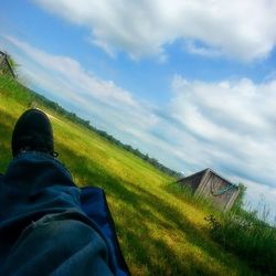 Scenic view of grassy field against sky