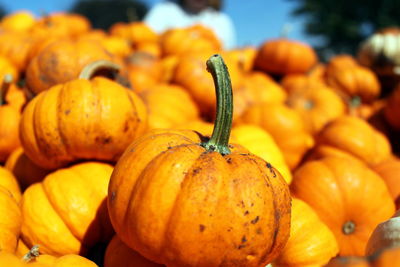 High angle view of pumpkins for sale