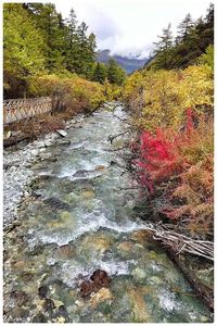 Stream flowing through rocks