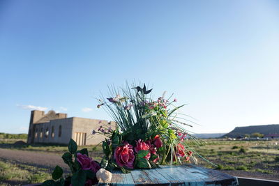 Flowers on table against sky