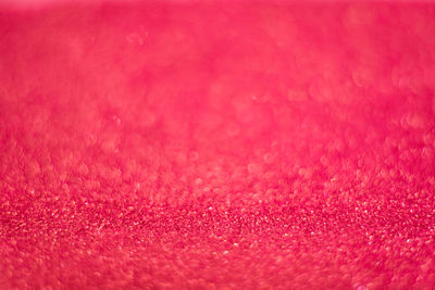 Full frame shot of pink red petals