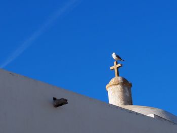 Low angle view of seagull against clear blue sky