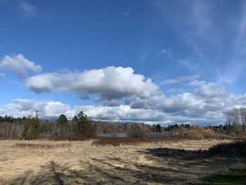 Scenic view of field against sky