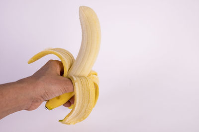 Midsection of person holding apple against white background