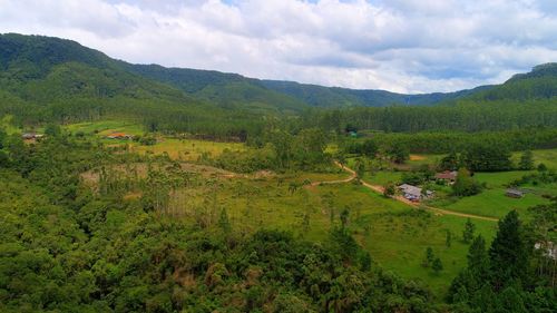 Scenic view of field against sky