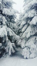 Scenic view of snow covered mountains against sky