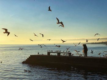 Birds flying over sea against sky