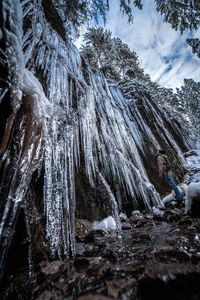Low angle view of man looking at icicles in forest