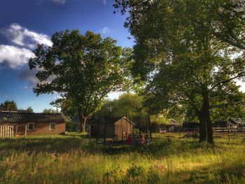 Trees and houses on field against sky