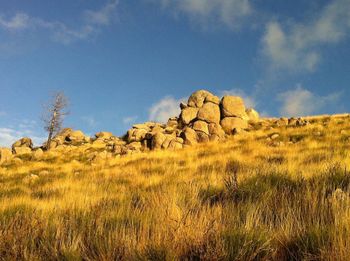 Scenic view of landscape against cloudy sky