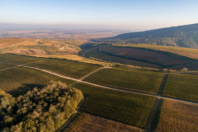High angle view of agricultural field against sky