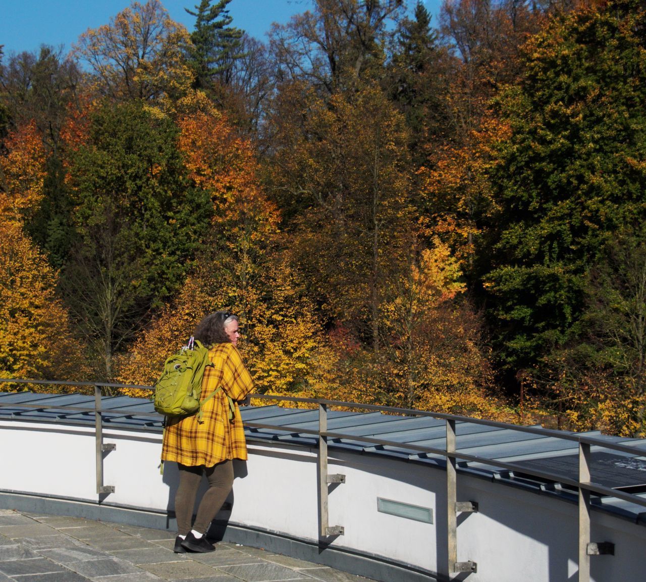 FULL LENGTH OF WOMAN STANDING ON YELLOW TREE